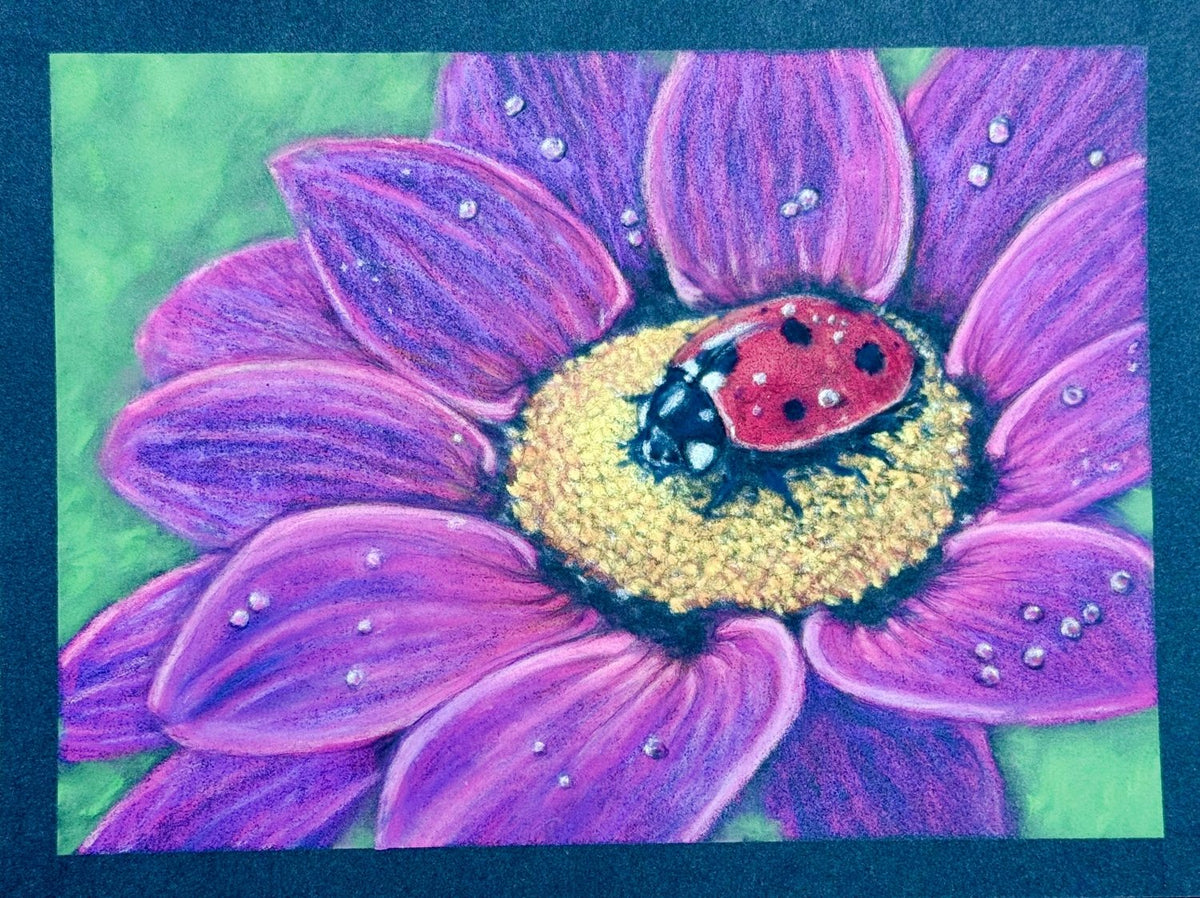 Hand Drawn Ladybug • Art Magnet - aGuyWithMSthatDraws