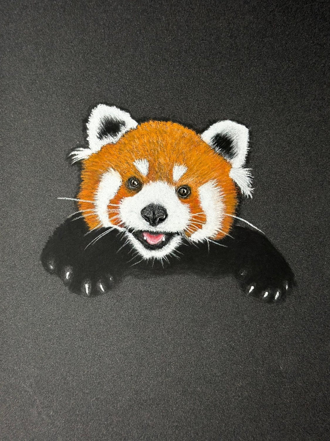 Hand Drawn Red Panda • Art Magnet - aGuyWithMSthatDraws