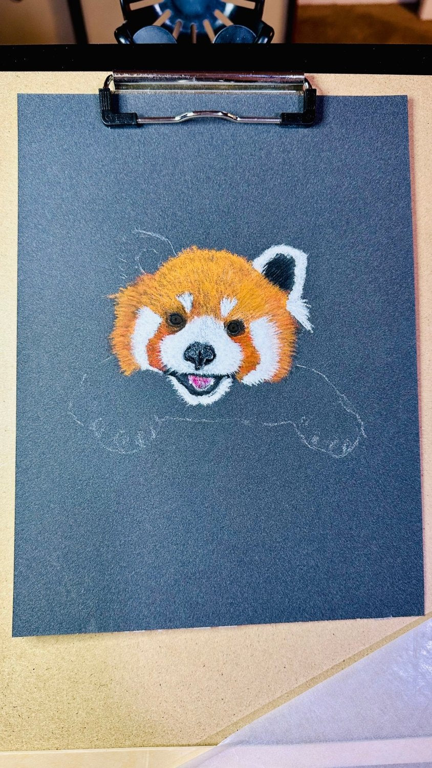 Hand Drawn Red Panda • Art Magnet - aGuyWithMSthatDraws