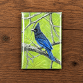 Hand Drawn Sterling Jay • Art Magnet - aGuyWithMSthatDraws