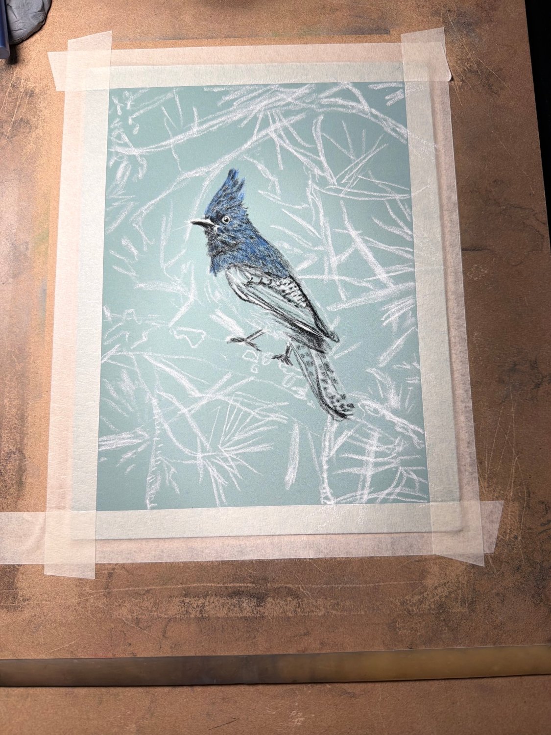 Hand Drawn Sterling Jay • Art Magnet - aGuyWithMSthatDraws