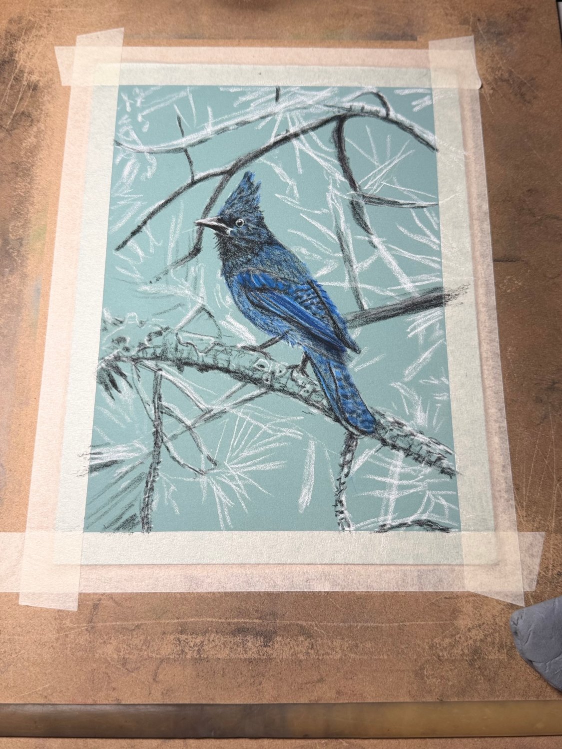 Hand Drawn Sterling Jay • Art Magnet - aGuyWithMSthatDraws