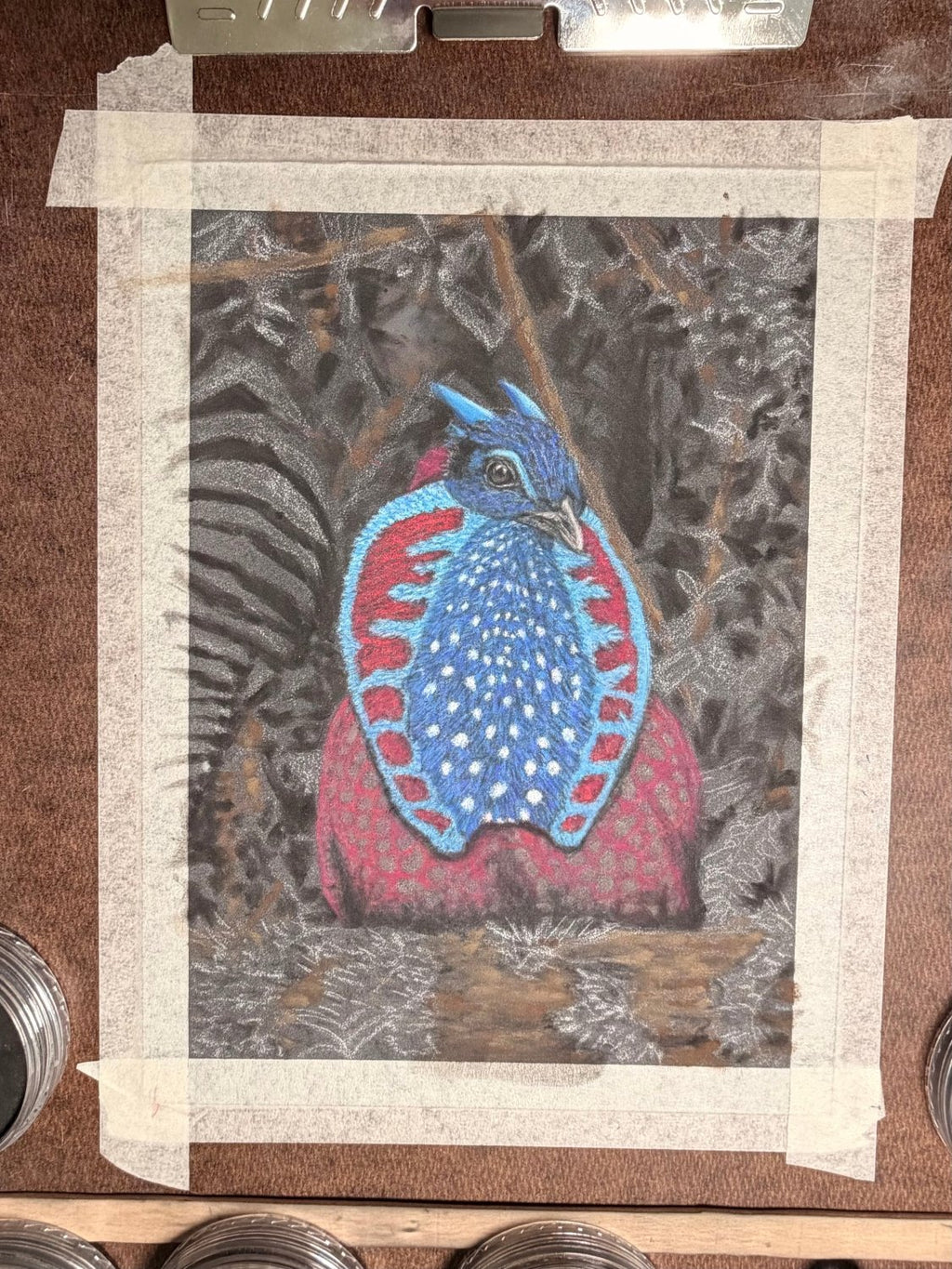 Hand Drawn Temminck's Tragopan • Art Magnet - aGuyWithMSthatDraws