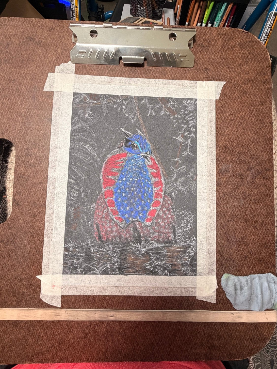 Hand Drawn Temminck's Tragopan • Art Magnet - aGuyWithMSthatDraws
