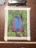 Hand Drawn Temminck's Tragopan • Art Magnet - aGuyWithMSthatDraws