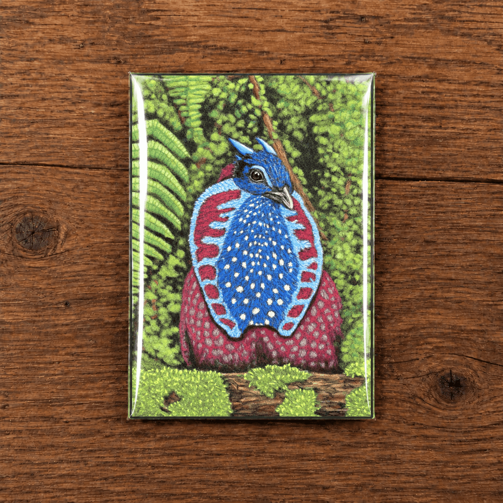 Hand Drawn Temminck's Tragopan • Art Magnet - aGuyWithMSthatDraws