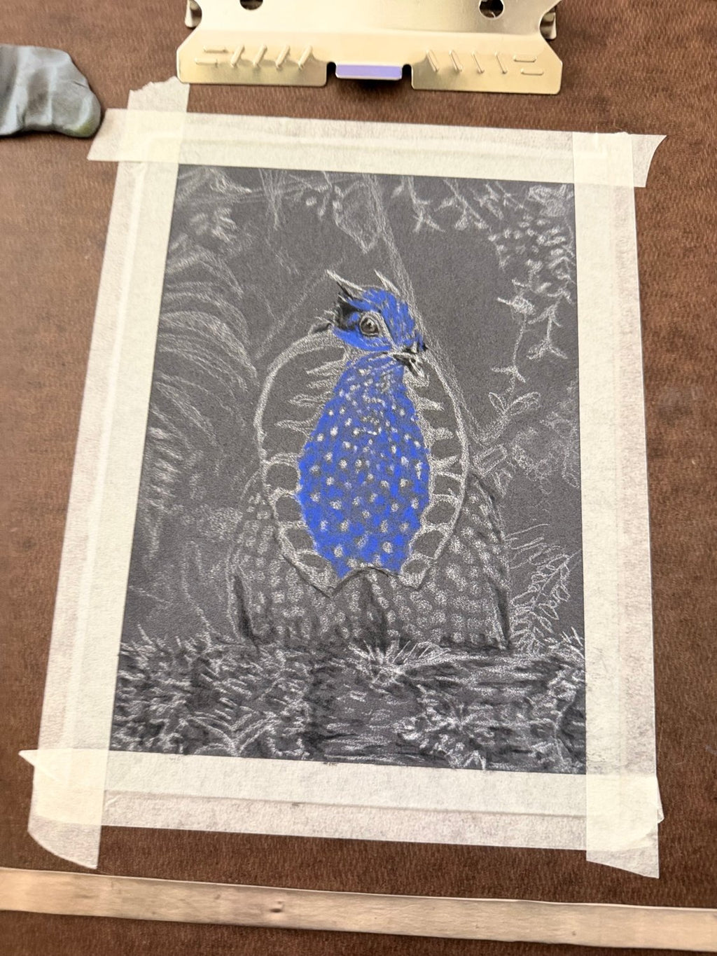 Hand Drawn Temminck's Tragopan • Art Magnet - aGuyWithMSthatDraws