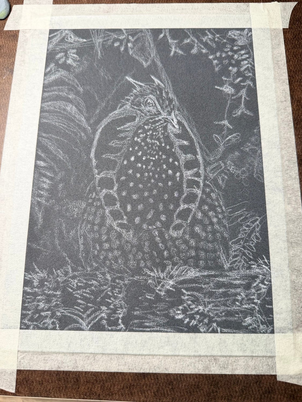 Hand Drawn Temminck's Tragopan • Art Magnet - aGuyWithMSthatDraws