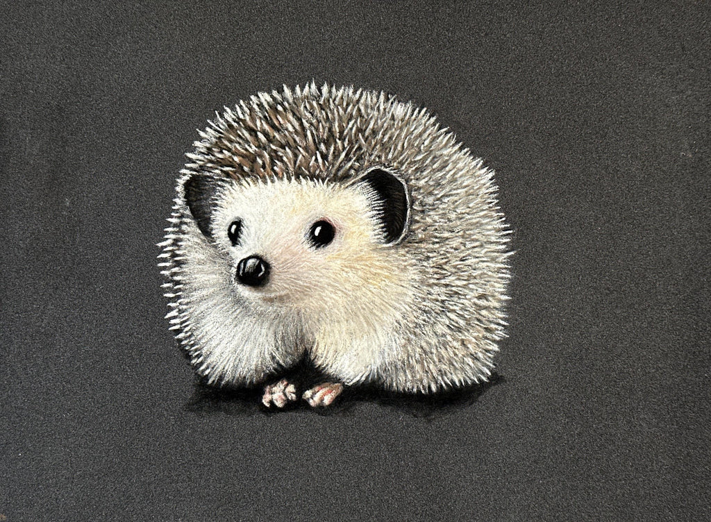 Hedgehog Greeting Card Hand Drawn Animal Art Note Card For Birthdays Thank You And Just Because - aGuyWithMSthatDraws