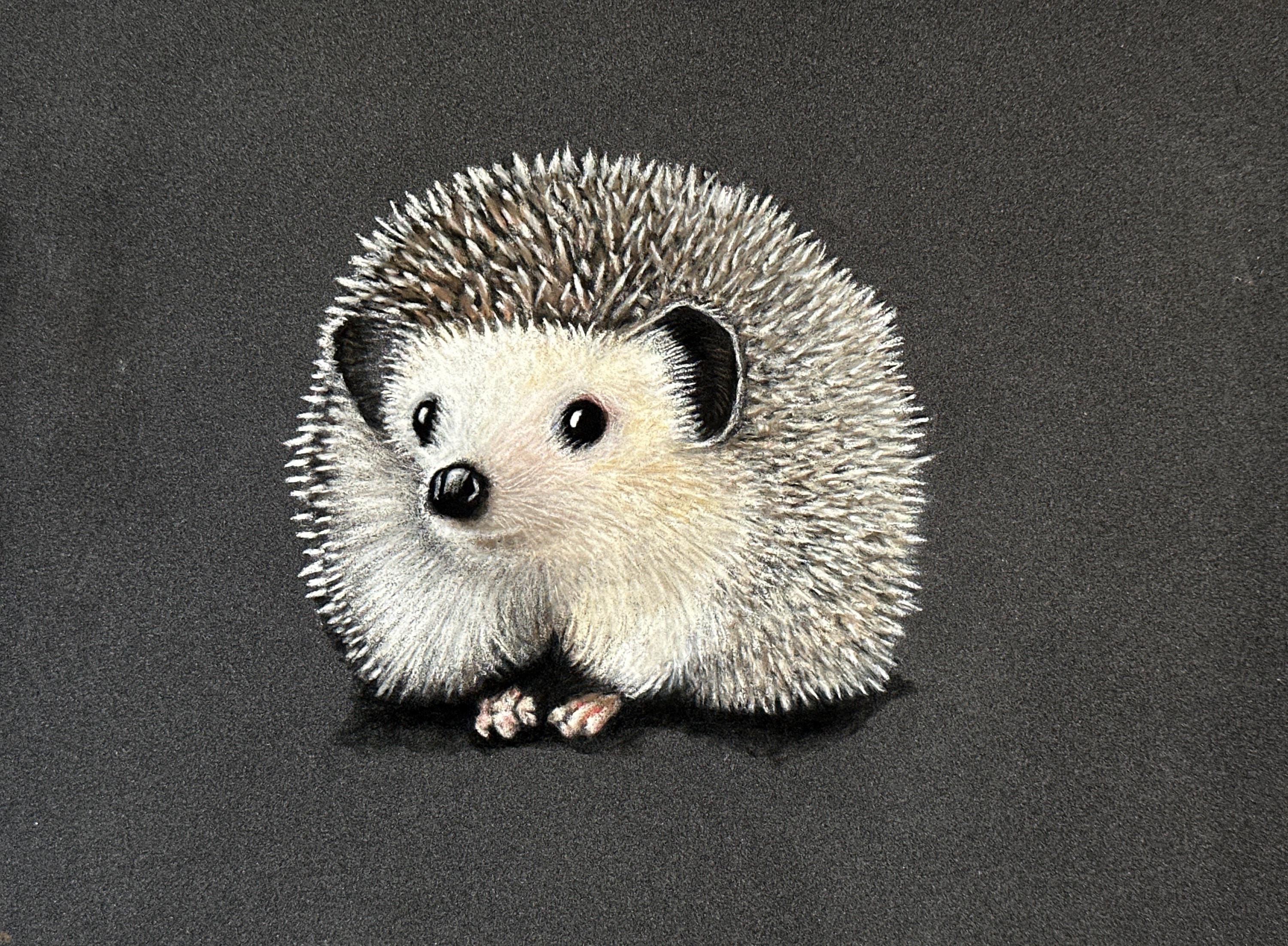 Hedgehog Greeting Card Hand Drawn Animal Art Note Card For Birthdays Thank You And Just Because - aGuyWithMSthatDraws