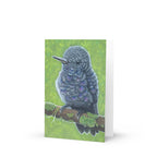 Baby Hummingbirds – Fine Art Blank Greeting Card | Hand-Drawn Pastel Pencil Illustration