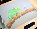 Jackson’s Chameleon • Hand Drawn Limited Edition Print • 8x10 - aGuyWithMSthatDraws