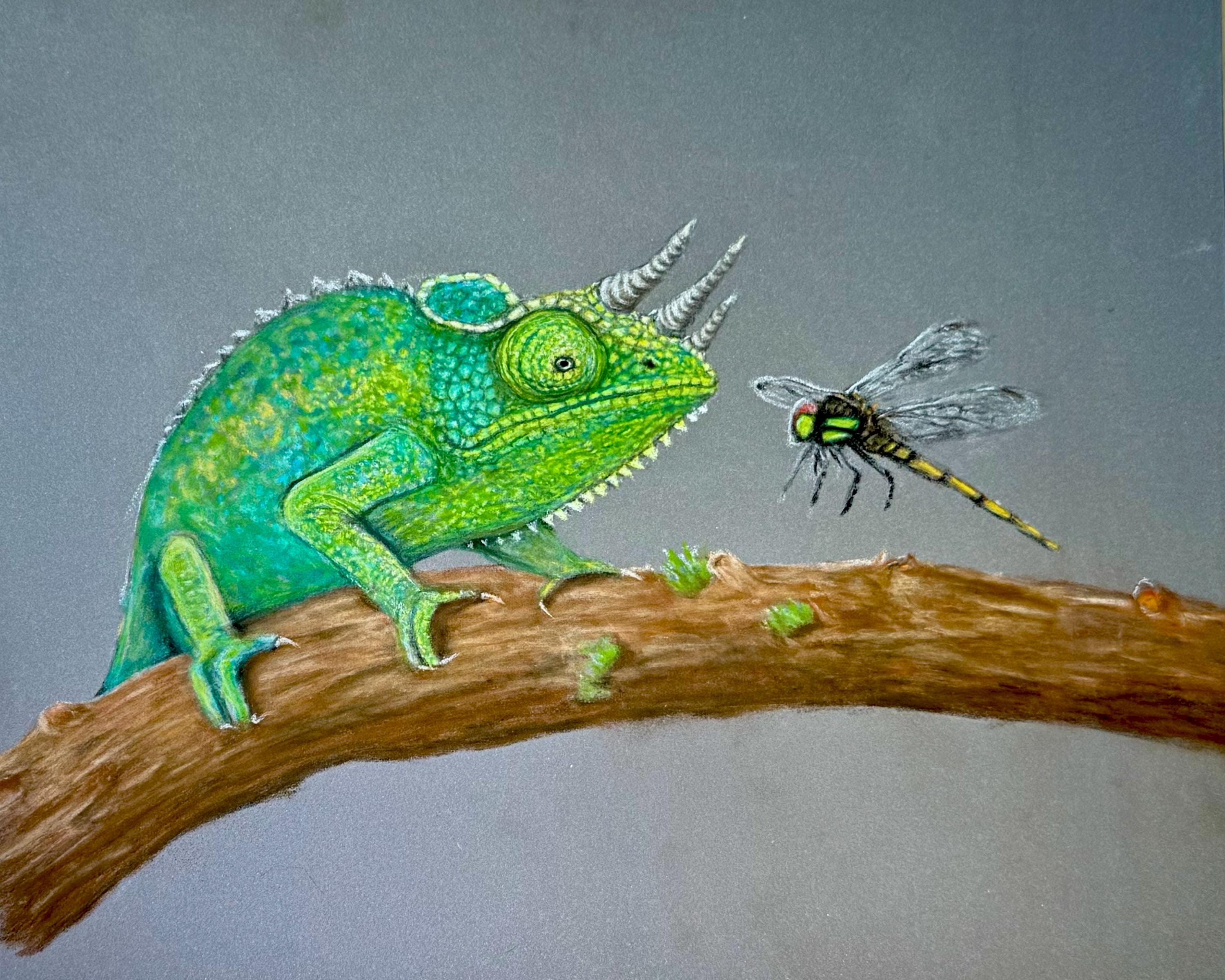 Jackson’s Chameleon • Hand Drawn Limited Edition Print • 8x10 - aGuyWithMSthatDraws