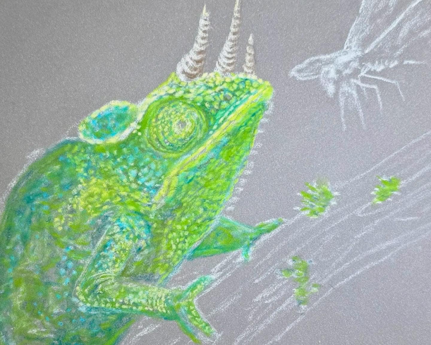 Jackson’s Chameleon • Hand Drawn Limited Edition Print • 8x10 - aGuyWithMSthatDraws