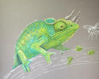Jackson’s Chameleon • Hand Drawn Limited Edition Print • 8x10 - aGuyWithMSthatDraws