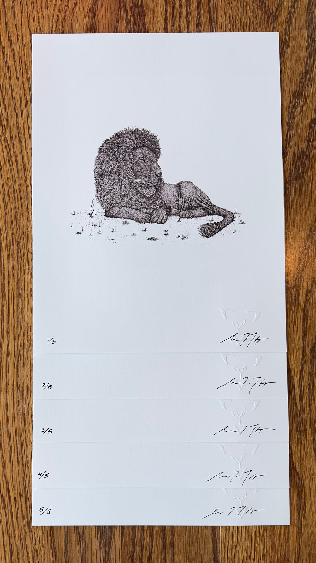 Lion • Hand Drawn Limited Edition Giclee Print • 8x10 - aGuyWithMSthatDraws