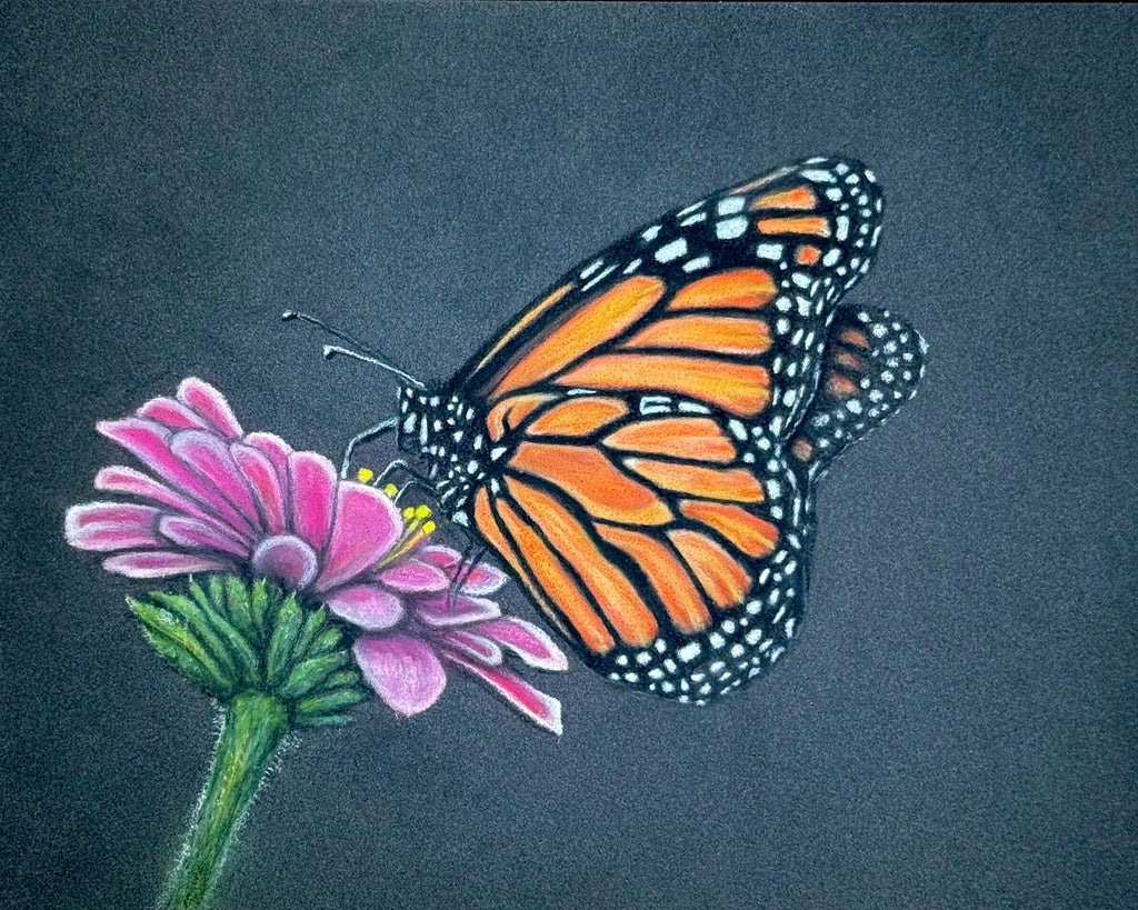 Monarch Butterfly • Hand Drawn Ceramic Mug • 11oz & 15oz - aGuyWithMSthatDraws