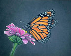 Monarch Butterfly • Hand Drawn Ceramic Mug • 11oz & 15oz - aGuyWithMSthatDraws