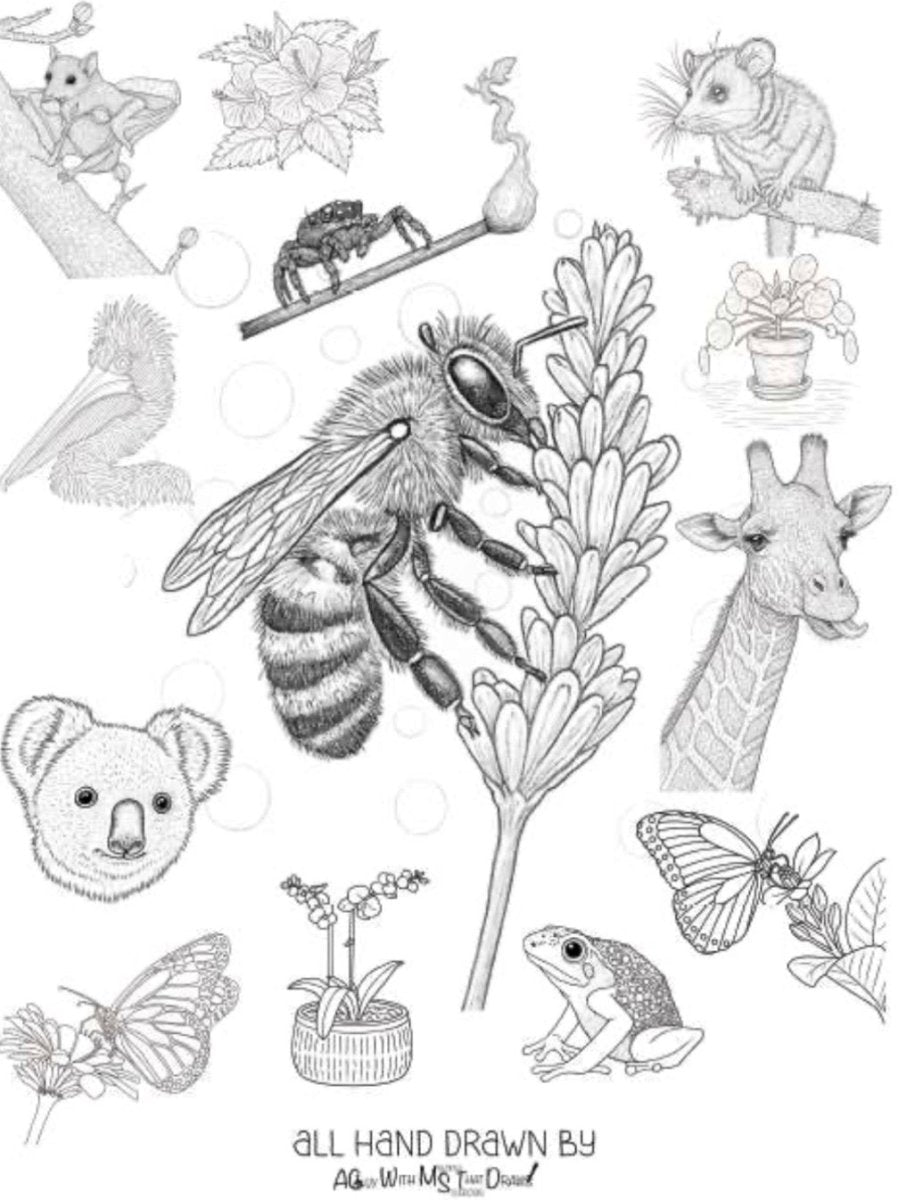 My Animal Adventure Coloring Book