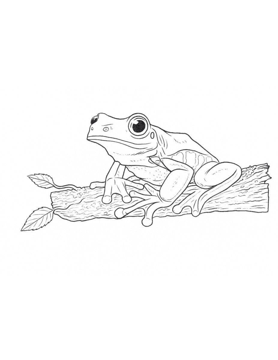 My Animal Adventure Coloring Book