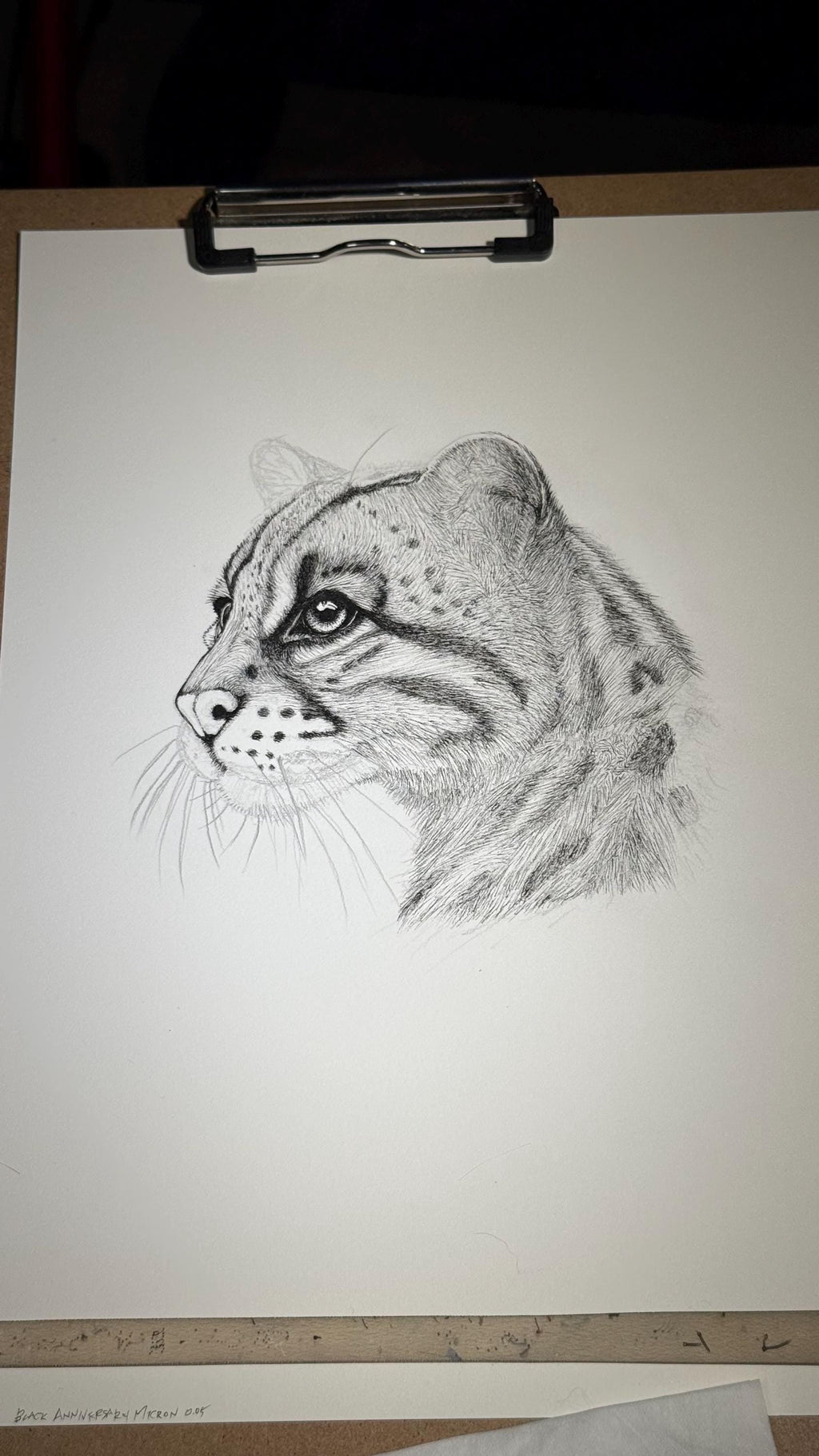 Ocelot Limited Edition Giclee 8x10 Art Print Signed Numbered Embossed By Artist - aGuyWithMSthatDraws