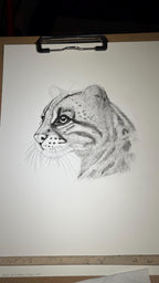Ocelot Limited Edition Giclee 8x10 Art Print Signed Numbered Embossed By Artist - aGuyWithMSthatDraws
