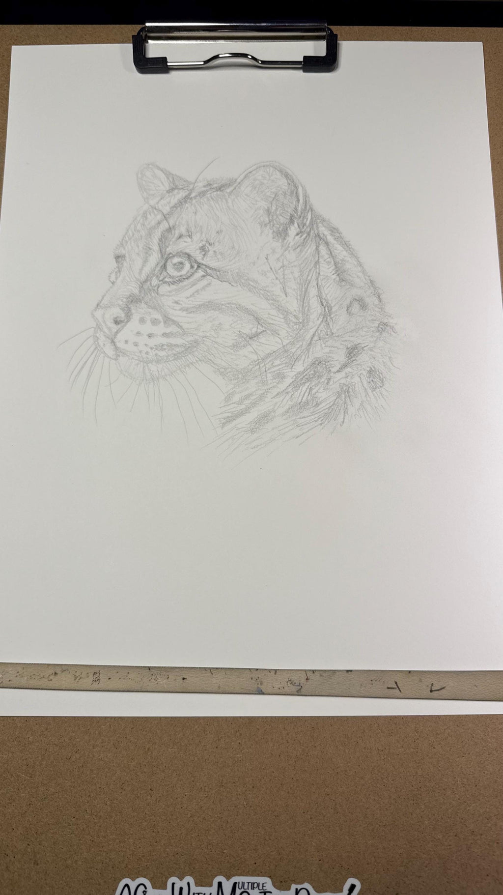 Ocelot Limited Edition Giclee 8x10 Art Print Signed Numbered Embossed By Artist - aGuyWithMSthatDraws