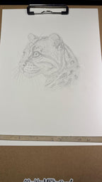 Ocelot Limited Edition Giclee 8x10 Art Print Signed Numbered Embossed By Artist - aGuyWithMSthatDraws