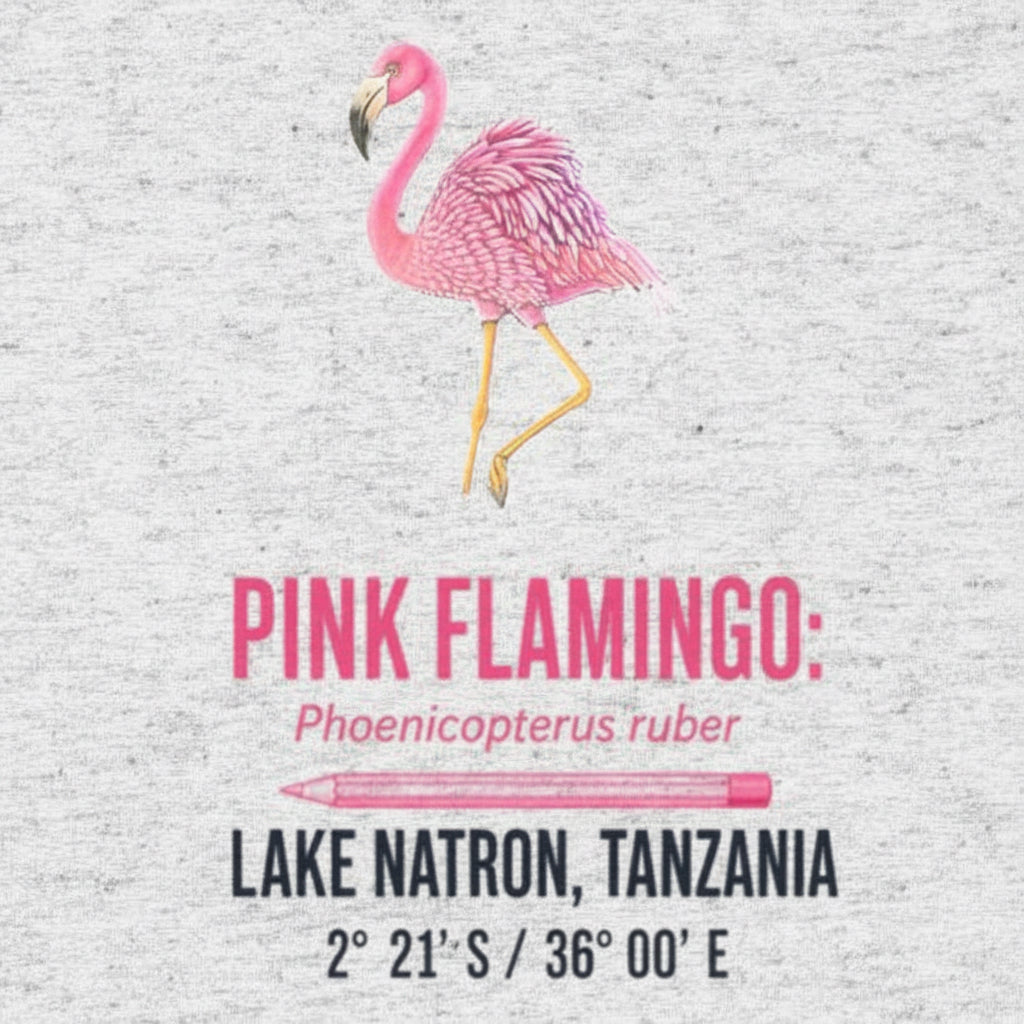 Pink Flamingo • Hand Drawn • Uni-Sex Tri-Blend T-Shirt