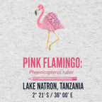 Pink Flamingo • Hand Drawn • Uni-Sex Tri-Blend T-Shirt