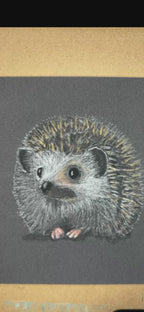 Hedgehog • Hand Drawn Original Pastel Pencil Drawing