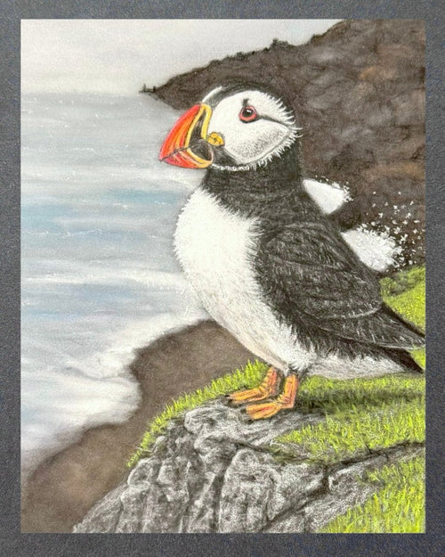 aGuyWithMSthatDraws Puffin • Hand Drawn • Uni-Sex Tri-Blend T-Shirt - T-Shirts T-SHIRT