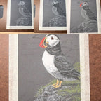 Puffin Pastel Pencil Drawing 7 x 9 1/2 Inches