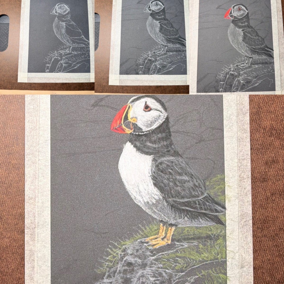 Puffin Pastel Pencil Drawing 7 x 9 1/2 Inches