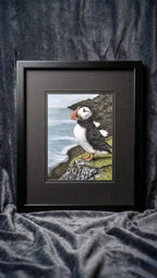 Puffin Pastel Pencil Drawing 7 x 9 1/2 Inches