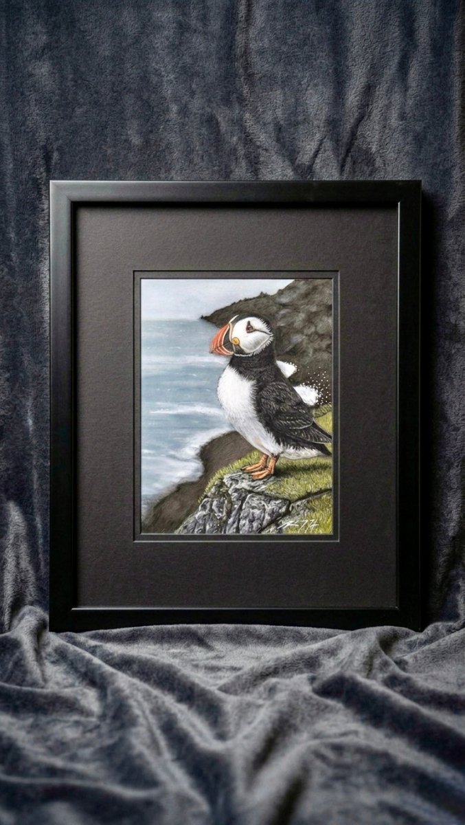 Puffin Pastel Pencil Drawing 7 x 9 1/2 Inches
