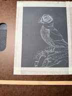 Puffin Pastel Pencil Drawing 7 x 9 1/2 Inches