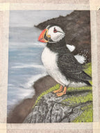 Puffin Pastel Pencil Drawing 7 x 9 1/2 Inches
