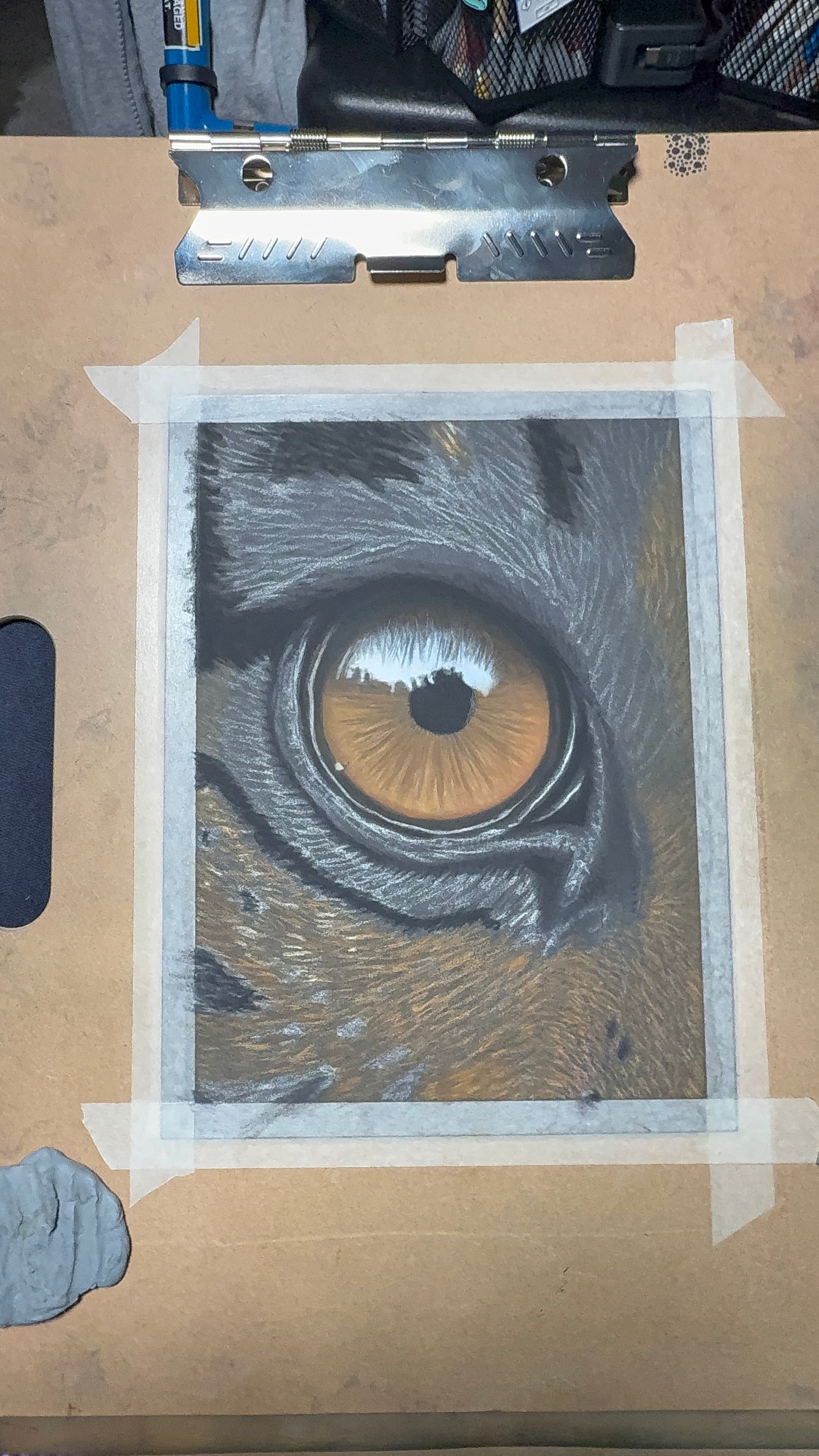 Tiger Eye • Hand Drawn • *Original Drawing* • Pastel • 7x9.5 - aGuyWithMSthatDraws