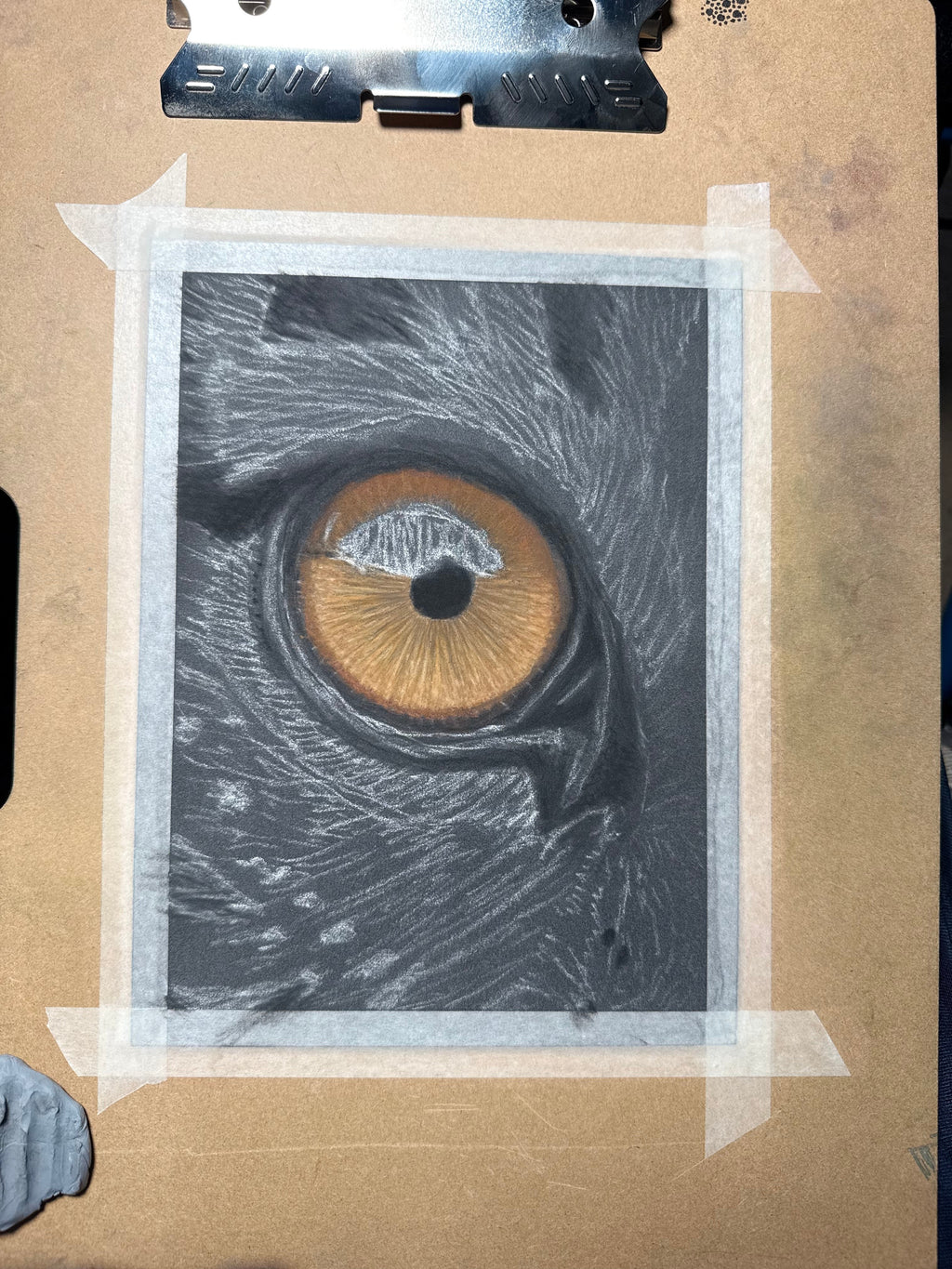 Tiger Eye • Hand Drawn • *Original Drawing* • Pastel • 7x9.5 - aGuyWithMSthatDraws