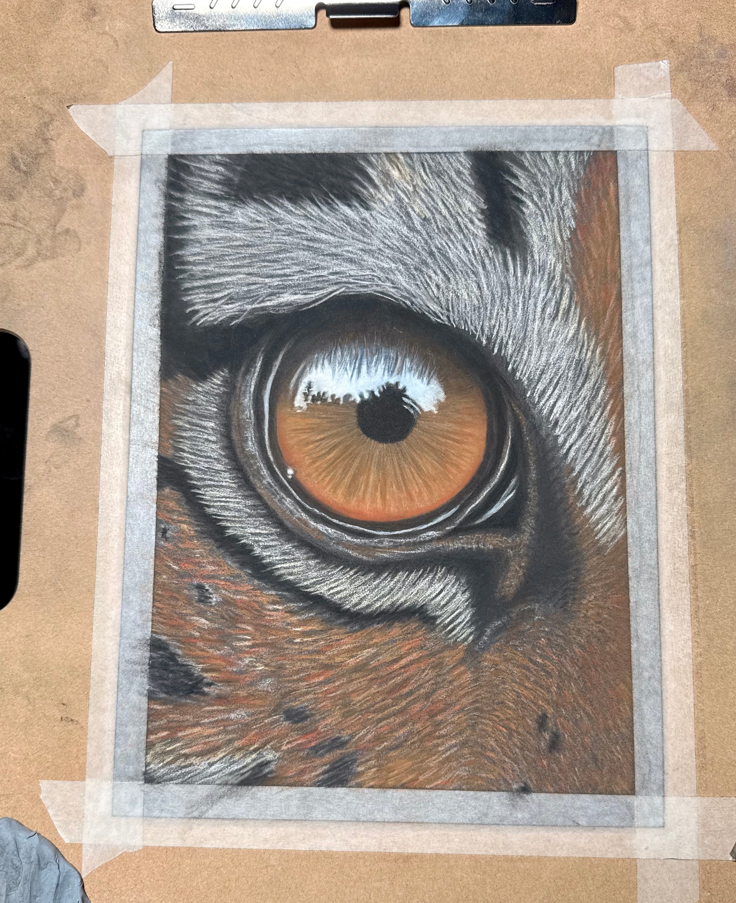 Tiger Eye • Hand Drawn • *Original Drawing* • Pastel • 7x9.5 - aGuyWithMSthatDraws