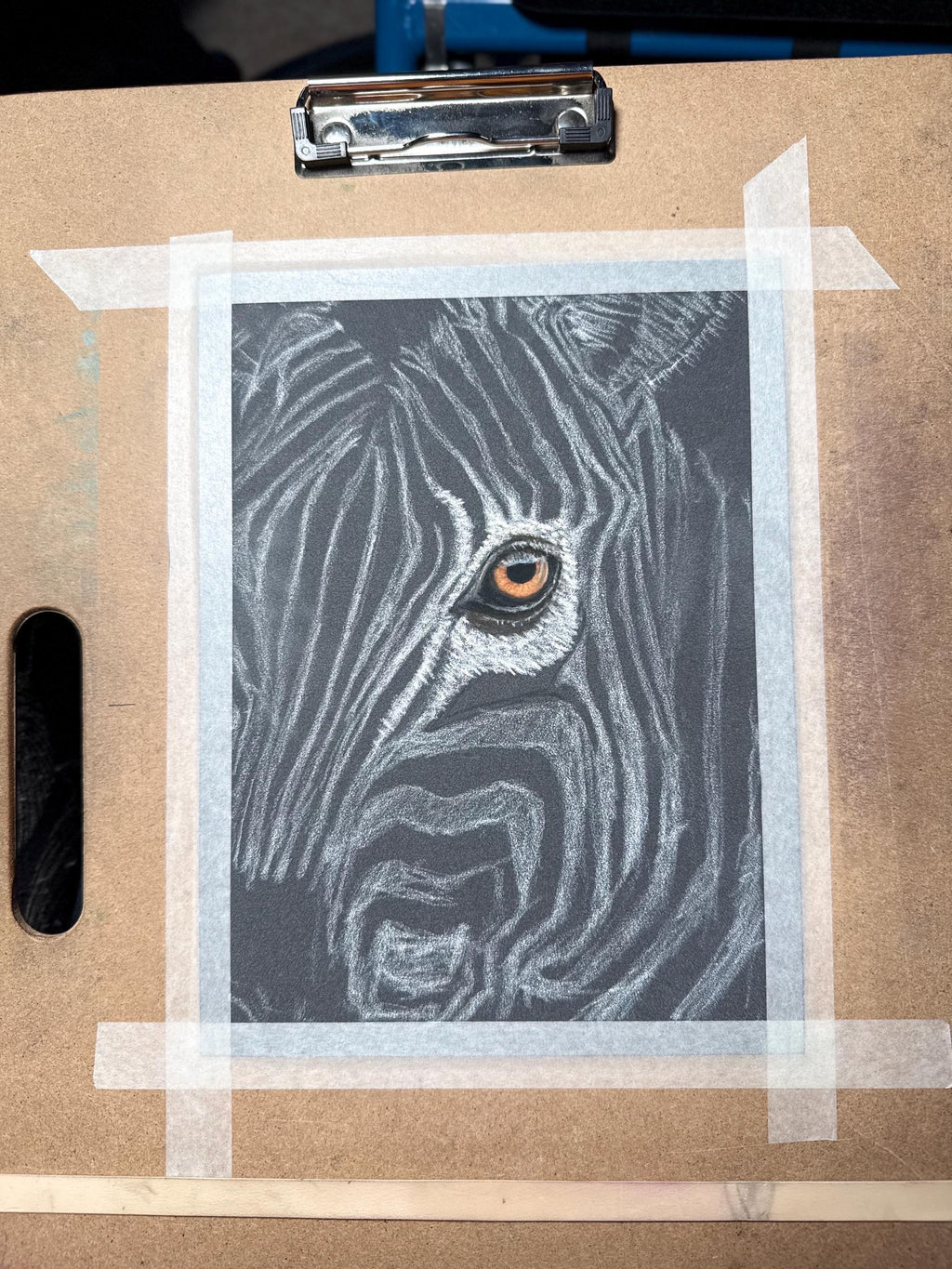 Zebra Eye Giclee Print Hand Drawn Pastel Artwork 8x10 Signed and Numbered Limited Edition - aGuyWithMSthatDraws