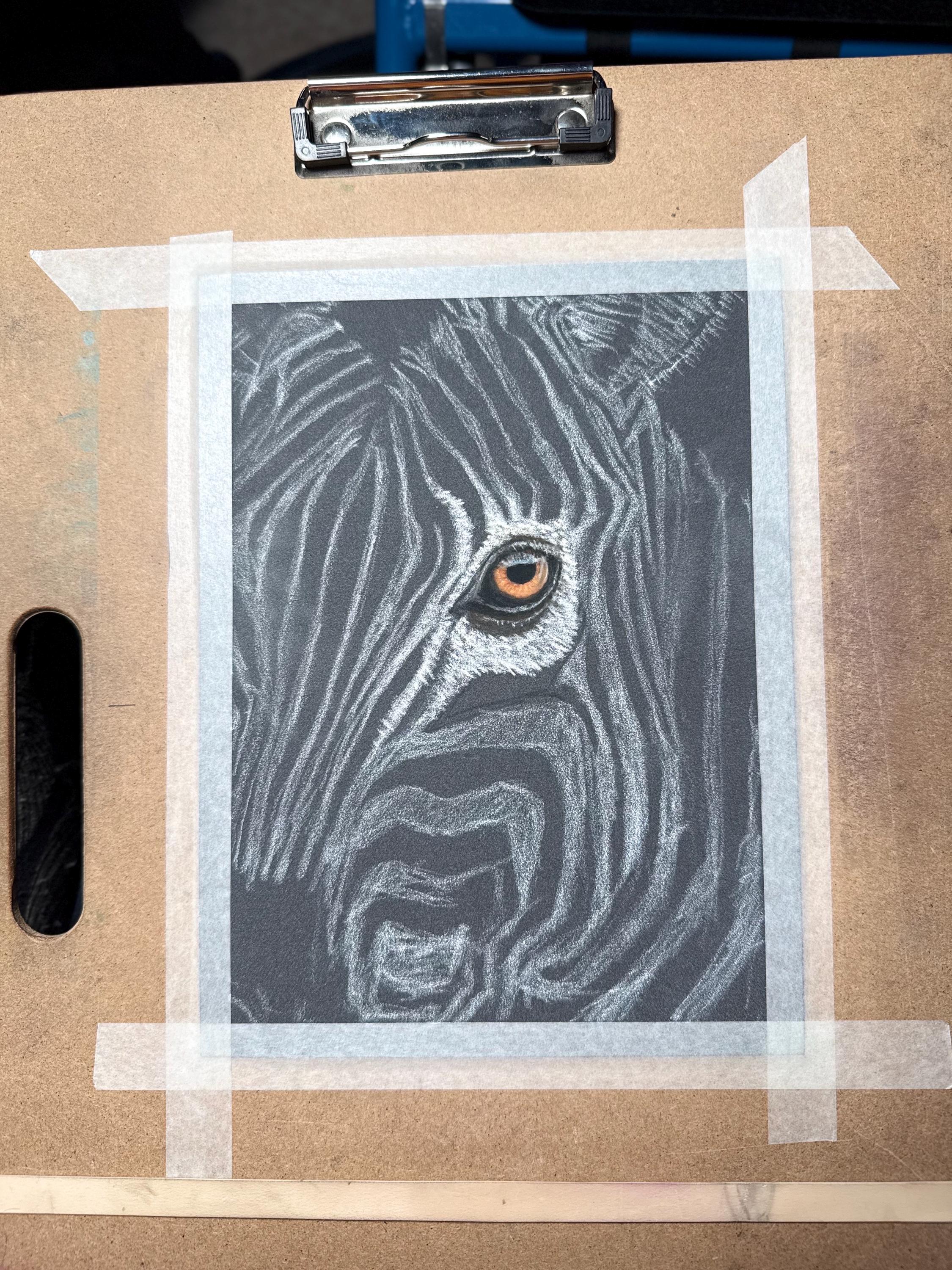 Zebra Eye Giclee Print Hand Drawn Pastel Artwork 8x10 Signed and Numbered Limited Edition - aGuyWithMSthatDraws