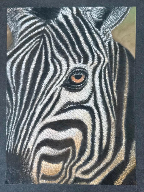 Zebra Eye Giclee Print Hand Drawn Pastel Artwork 8x10 Signed and Numbered Limited Edition - aGuyWithMSthatDraws