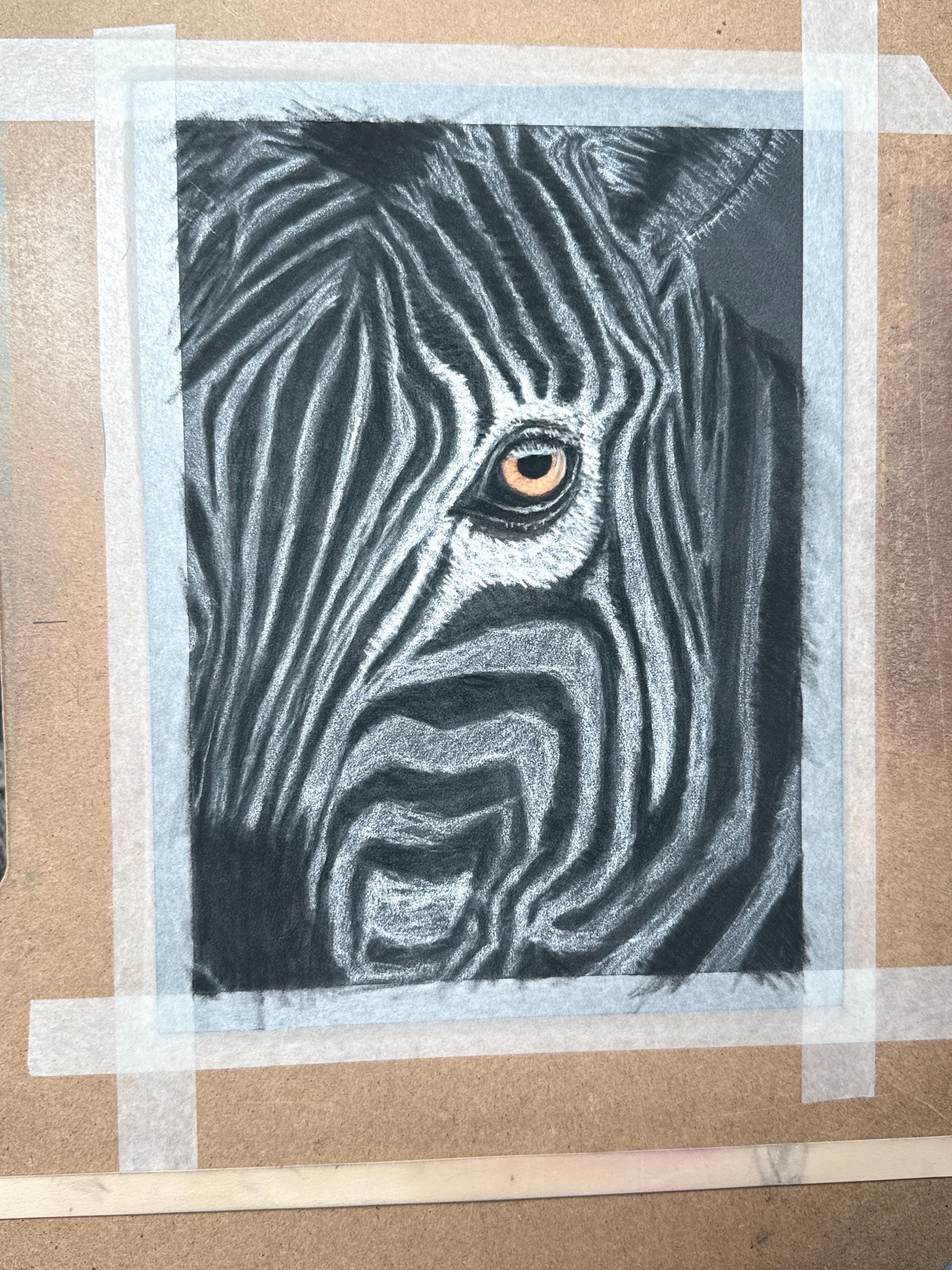 Zebra Eye Giclee Print Hand Drawn Pastel Artwork 8x10 Signed and Numbered Limited Edition - aGuyWithMSthatDraws