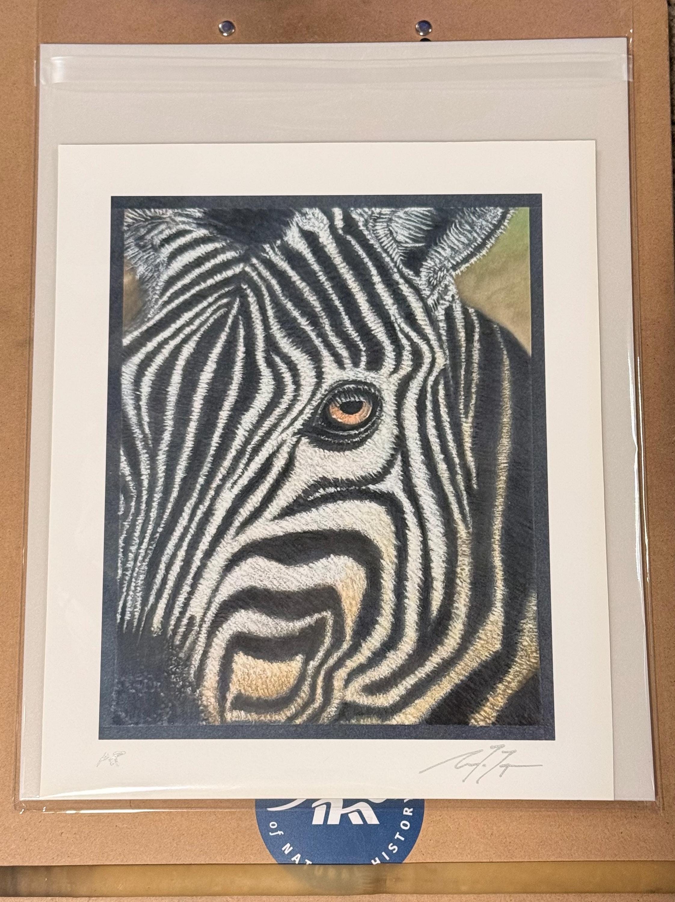 Zebra Eye Giclee Print Hand Drawn Pastel Artwork 8x10 Signed and Numbered Limited Edition - aGuyWithMSthatDraws